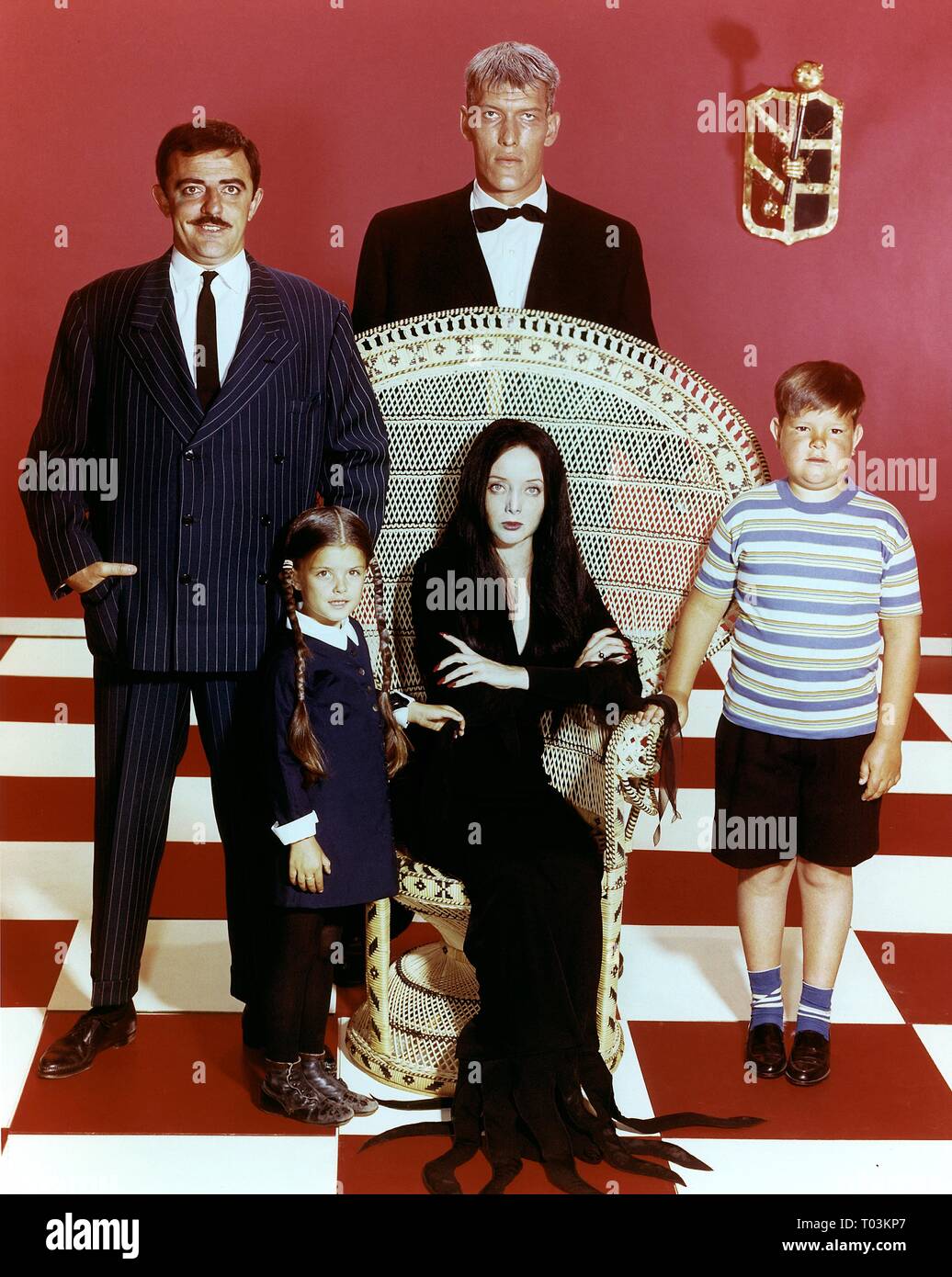 JOHN ASTIN, LISA LORING, CAROLYN JONES, TED CASSIDY, KEN WEATHERWAX, THE ADDAMS FAMILY, 1964 Stock Photo