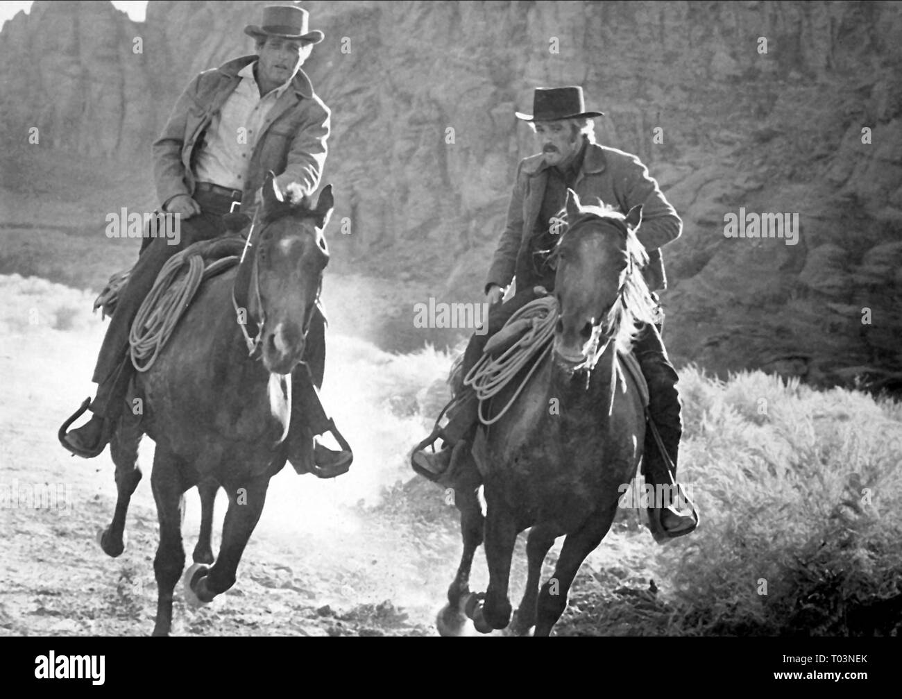 Robert redford and paul newman hires stock photography and images Alamy