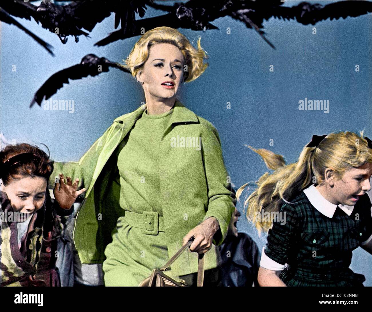 TIPPI HEDREN, THE BIRDS, 1963 Stock Photo