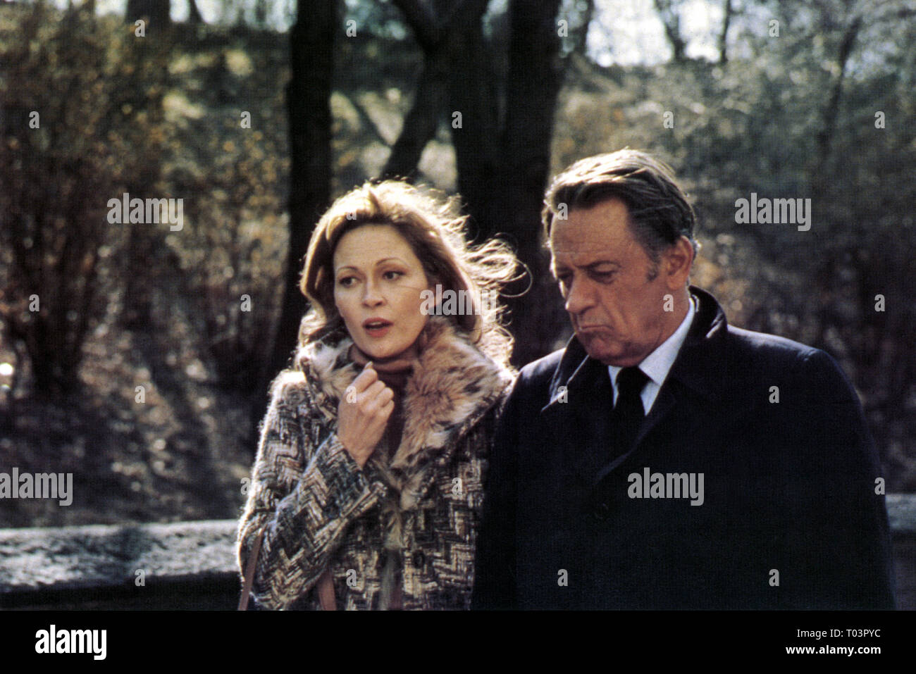 FAYE DUNAWAY, WILLIAM HOLDEN, NETWORK, 1976 Stock Photo