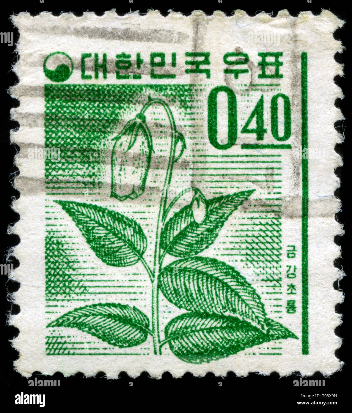 Postage stamp from South Korea in the Hanabusaya asiatica series issued in 1969 Stock Photo