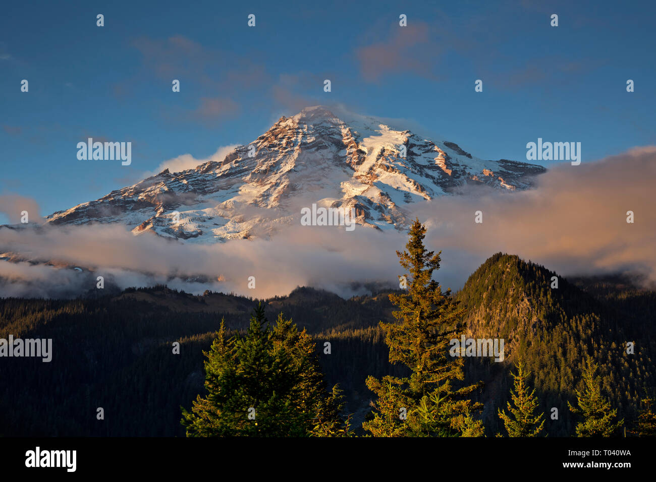 Mount Rainer National Park High Resolution Stock Photography and Images ...