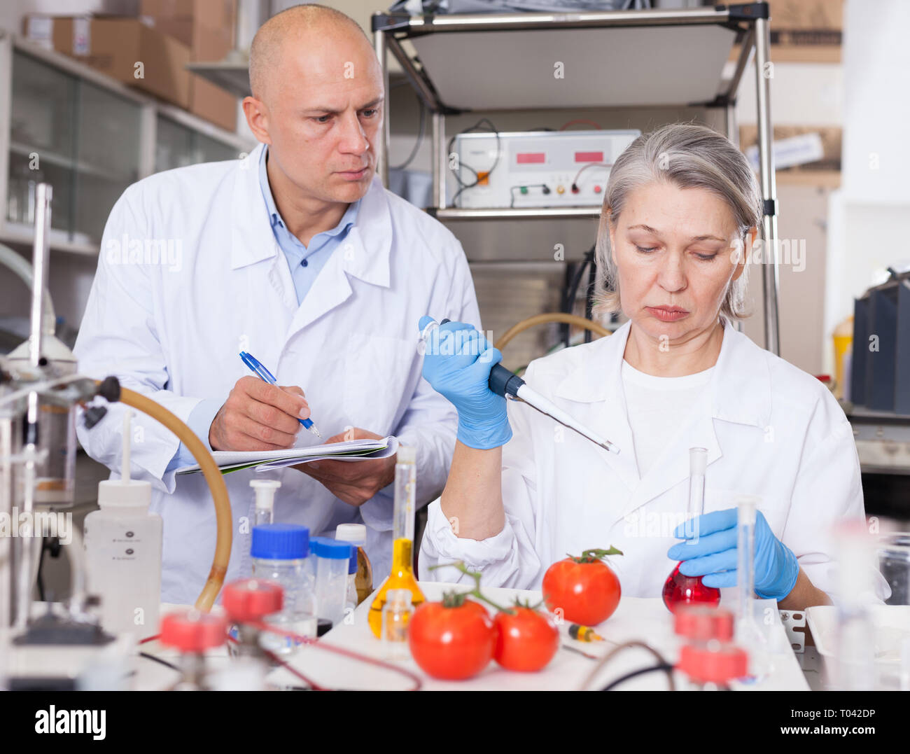 Two experienced biochemists checking fruits and vegetables for nitrates ...