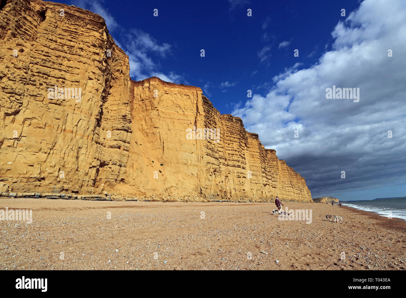 West Bay, Dorset, English, UK Stock Photo Alamy