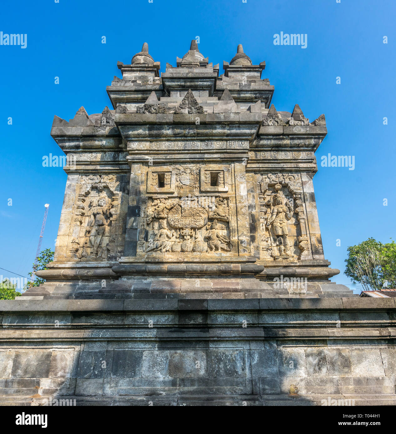 Kalpataru hires stock photography and images Alamy
