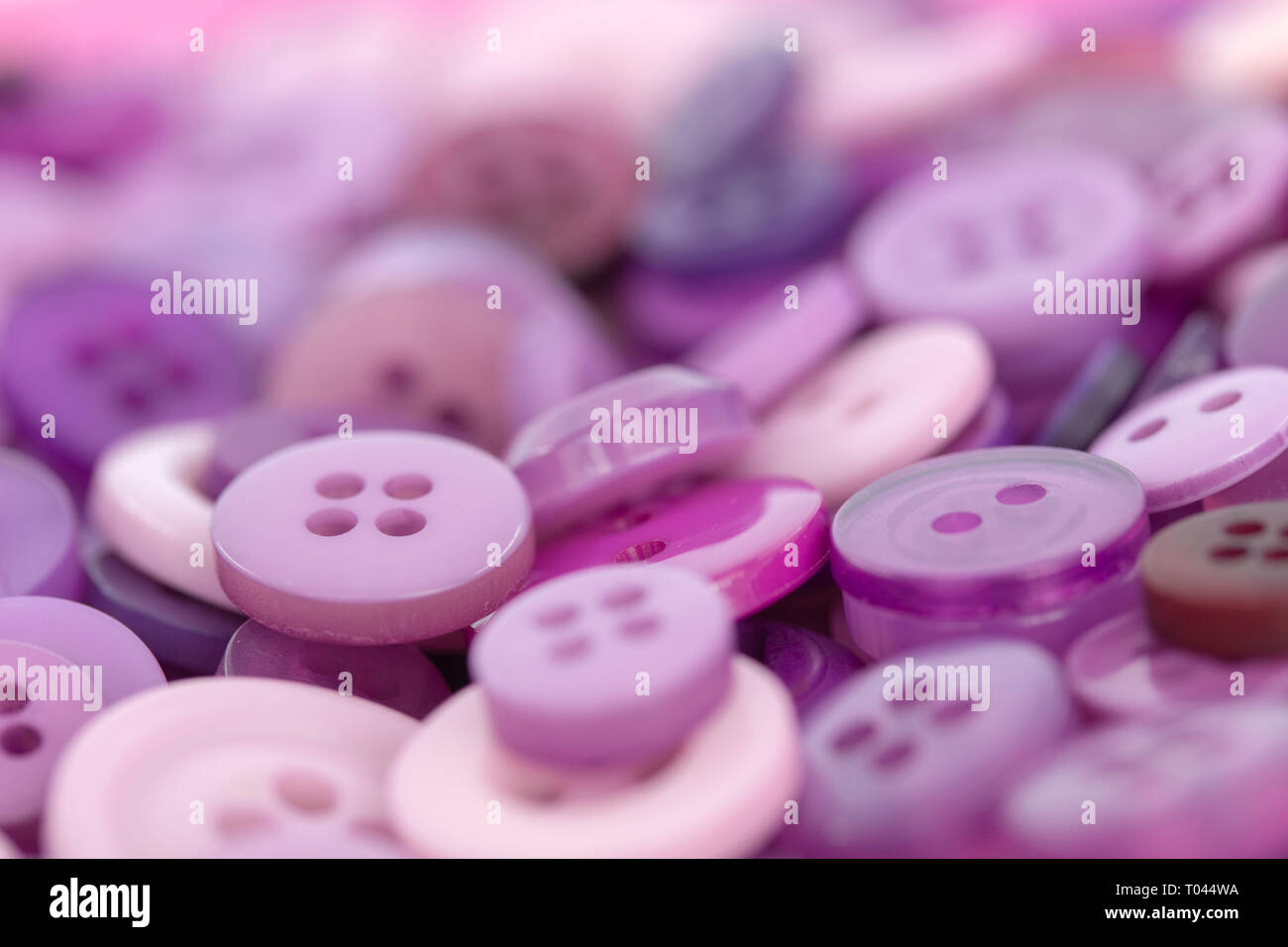 Closeup image of pink and purple sewing buttons Stock Photo