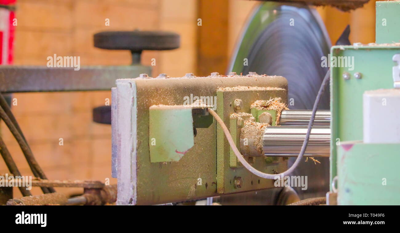 Sharp rolling cutting machine on the sawmill factory where big logs are ...