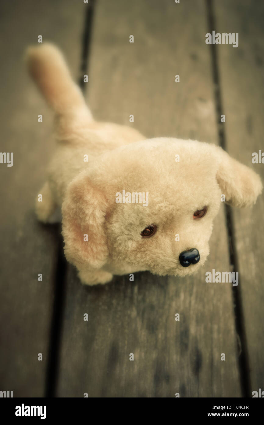 abandoned stuffed puppy toy dog - image for book cover Stock Photo