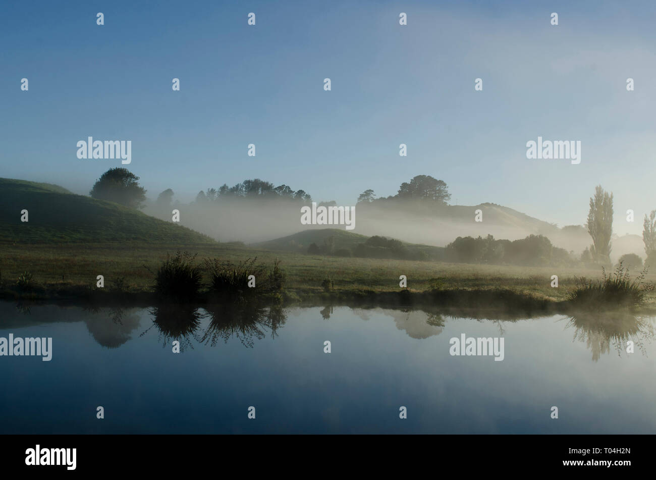 Lakeside view, fog by lake, Lake Farm, Taranaki, North Island, New Zealand Stock Photo