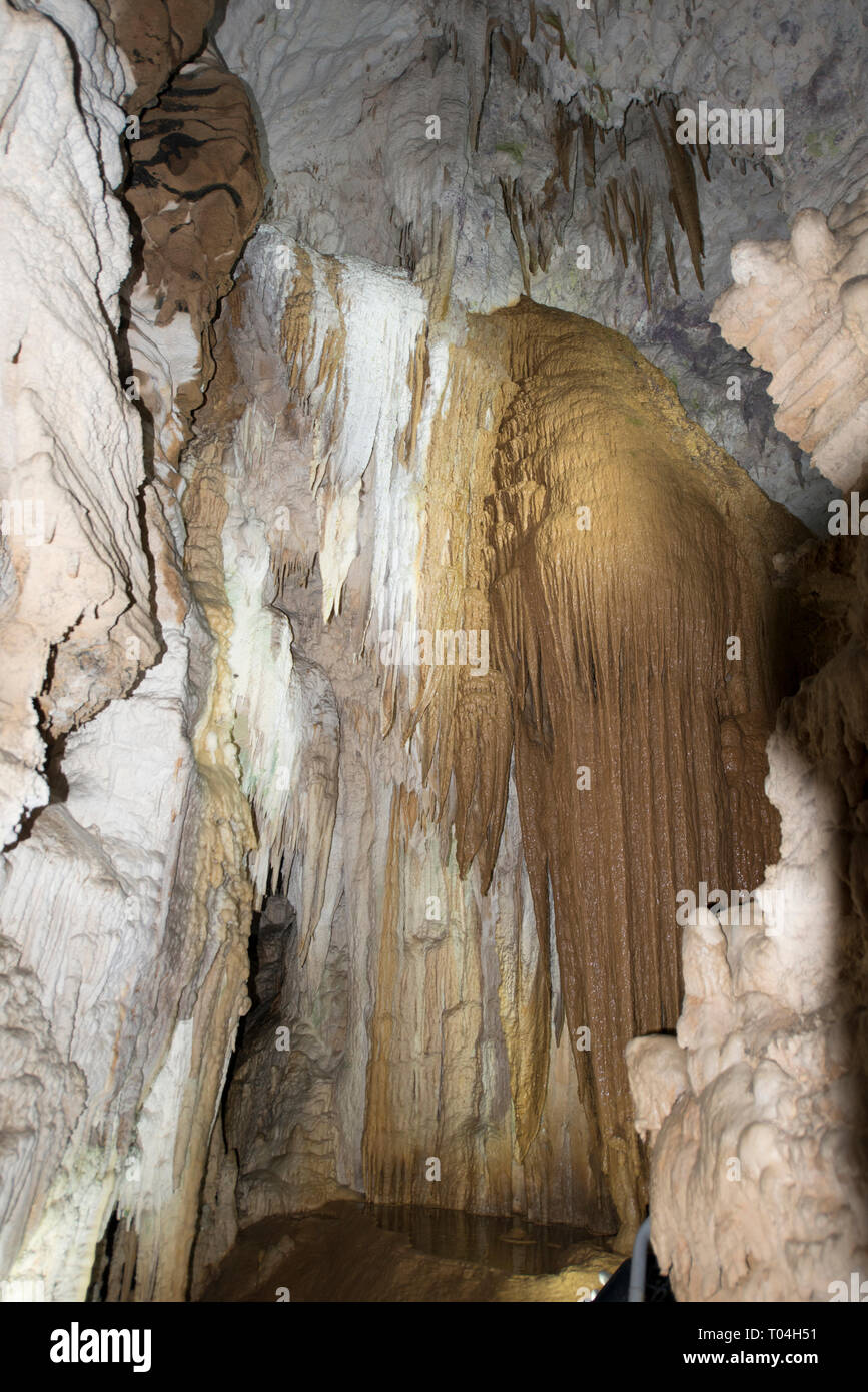 Waitomo Glowworm Caves, interior, Otorohanga, Waikato, North Island, New Zealand Stock Photo