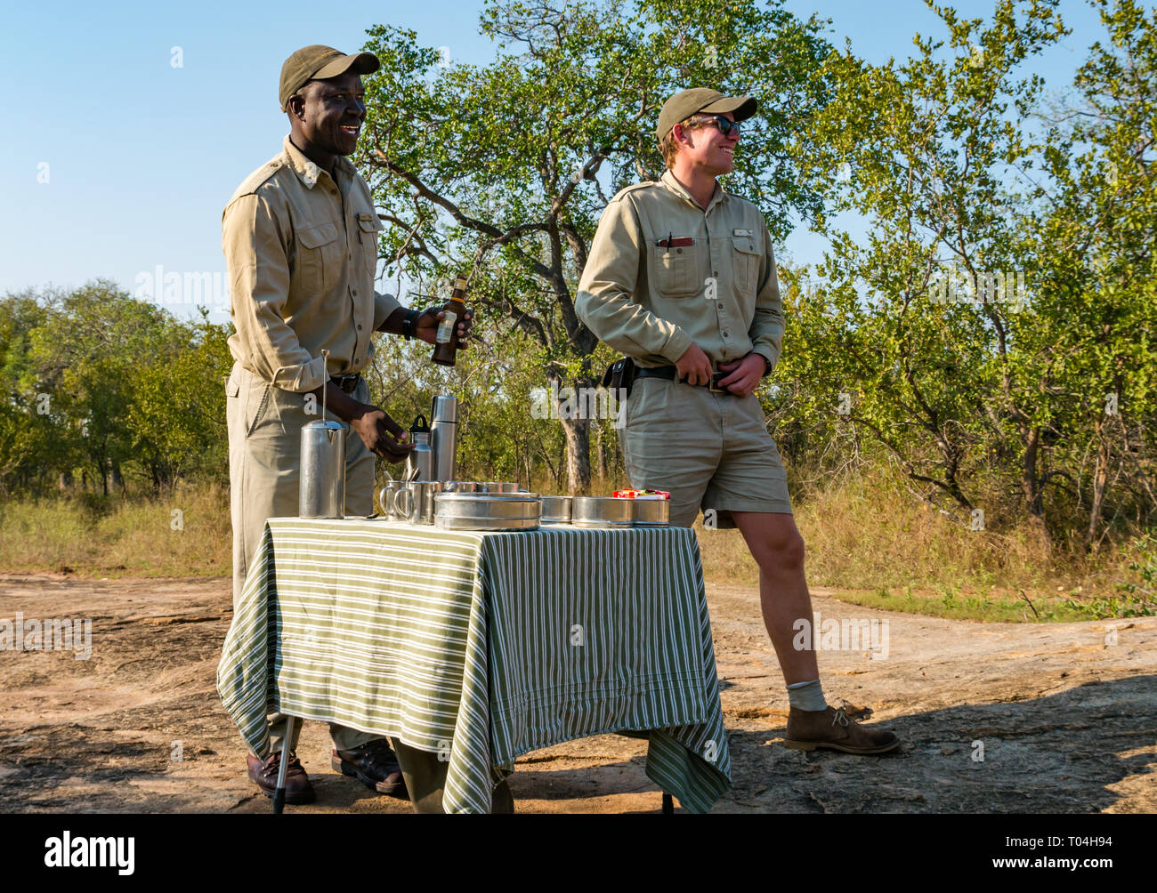 White guide and Black man tracker preparing morning coffee refreshments for safari guests, Sabi Sands game reserve, South Africa Stock Photo