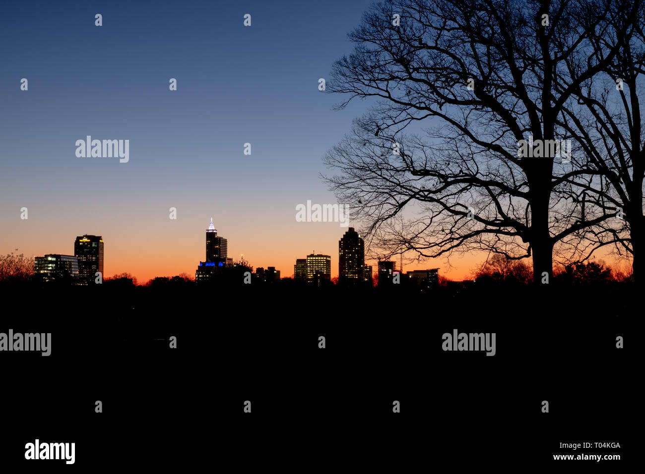 Downtown Raleigh As Seen From Dorothea Dix Park On A Chilly Winter During Morning Twilight Stock Photo Alamy Downtown Raleigh As Seen From Dorothea Dix Park On A Chilly Winter During Morning Twilight Stock Photo Alamy