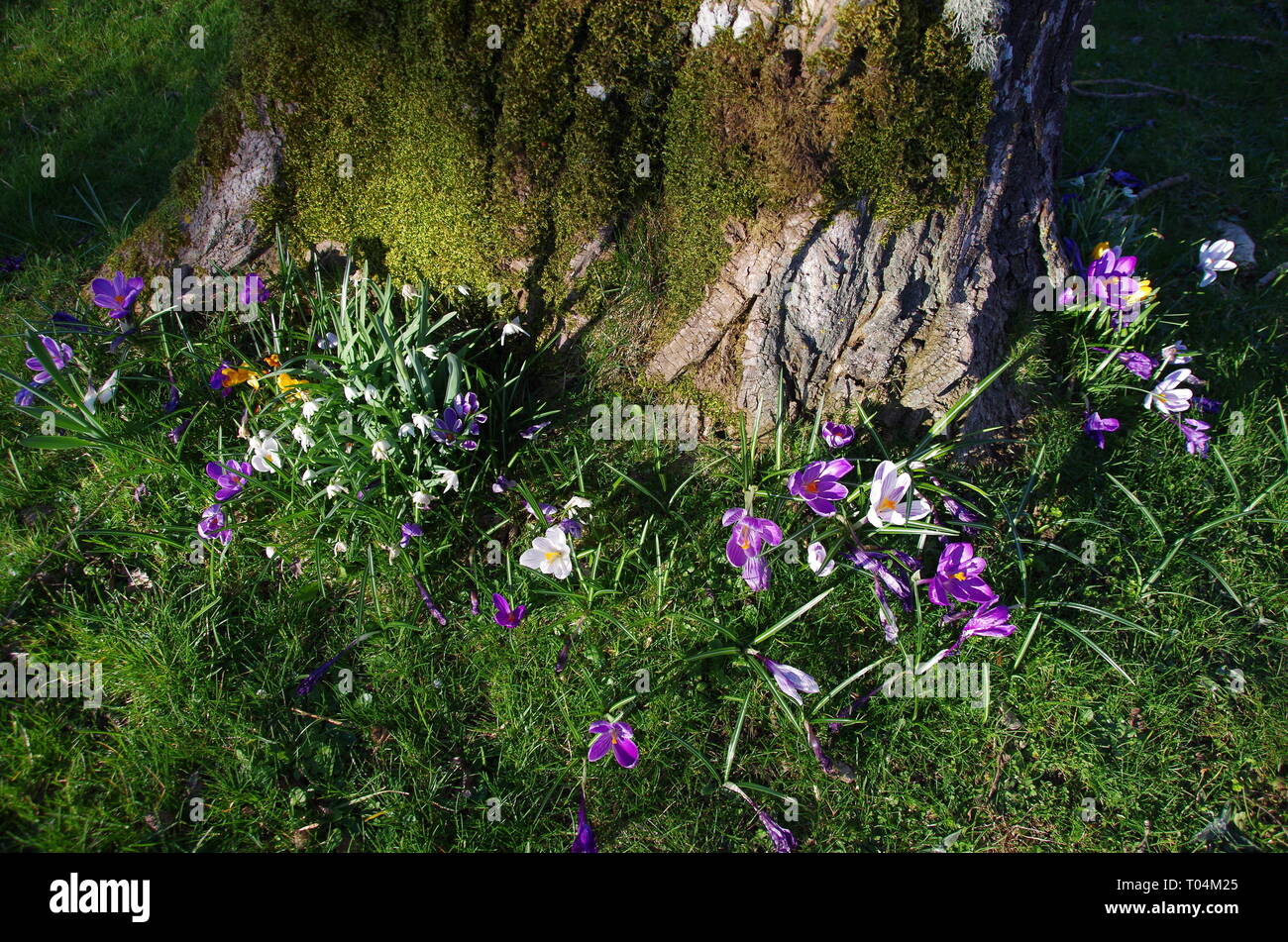 The Donnington Way. Gloucestershire. Cotswolds. England. UK Stock Photo