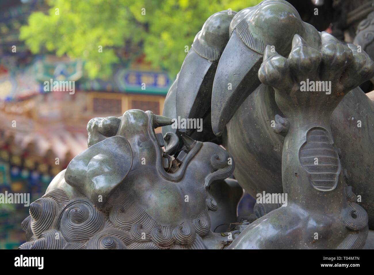 Close up of baby lion / dragon statue, playing with parent's claw. Chinese mythology, baring teeth and growling. Stock Photo