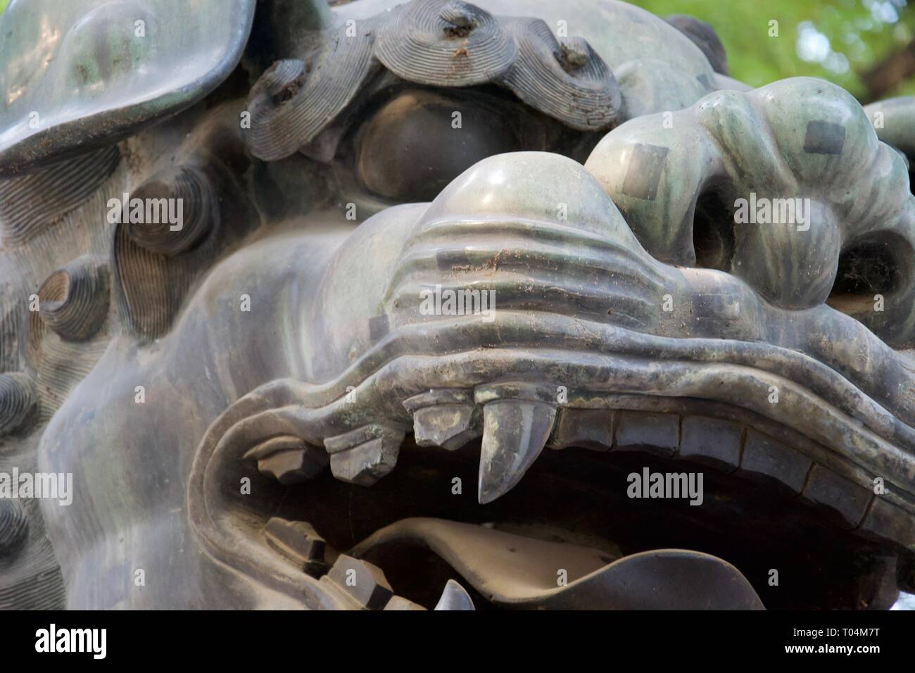 Close up on face of Chinese lion / dragon statue. Chinese mythology, baring teeth and growling at camera Stock Photo