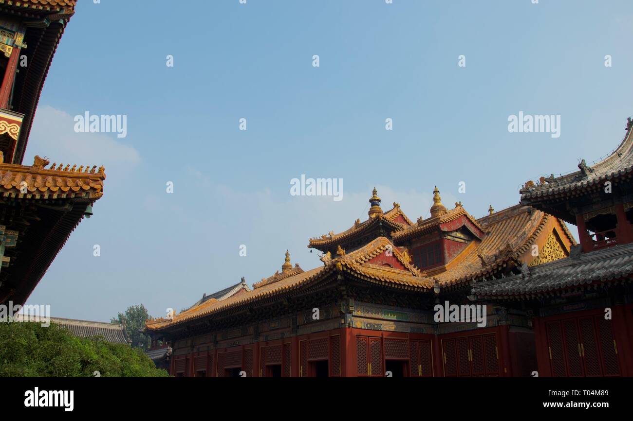 Orange, sloping roofs of traditional temples and palaces in Beijing, China - the Forbidden City. Against blue sky, red and gold detailing. Stock Photo