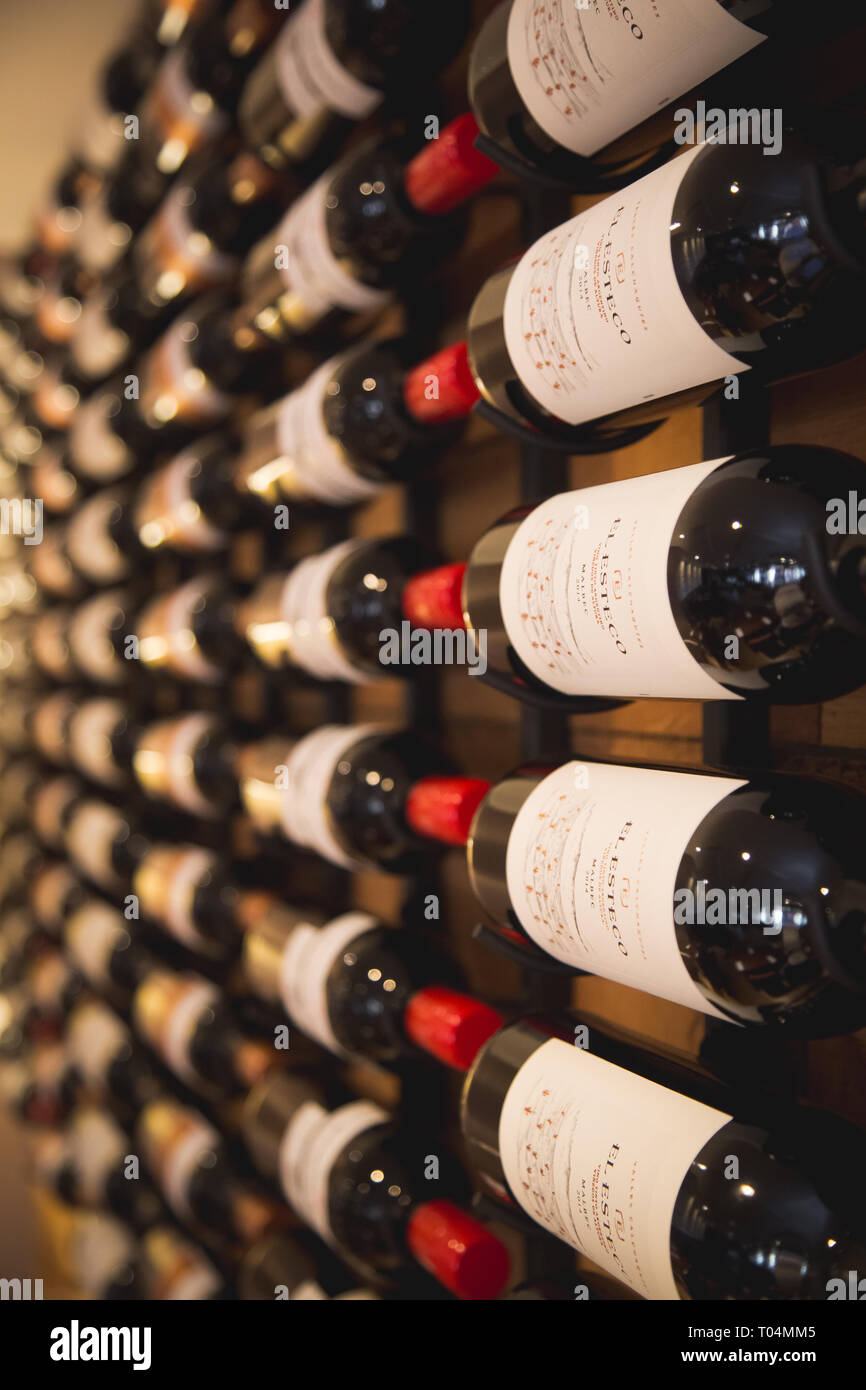 bottles of red wine on wall display in restaurant close up Stock Photo