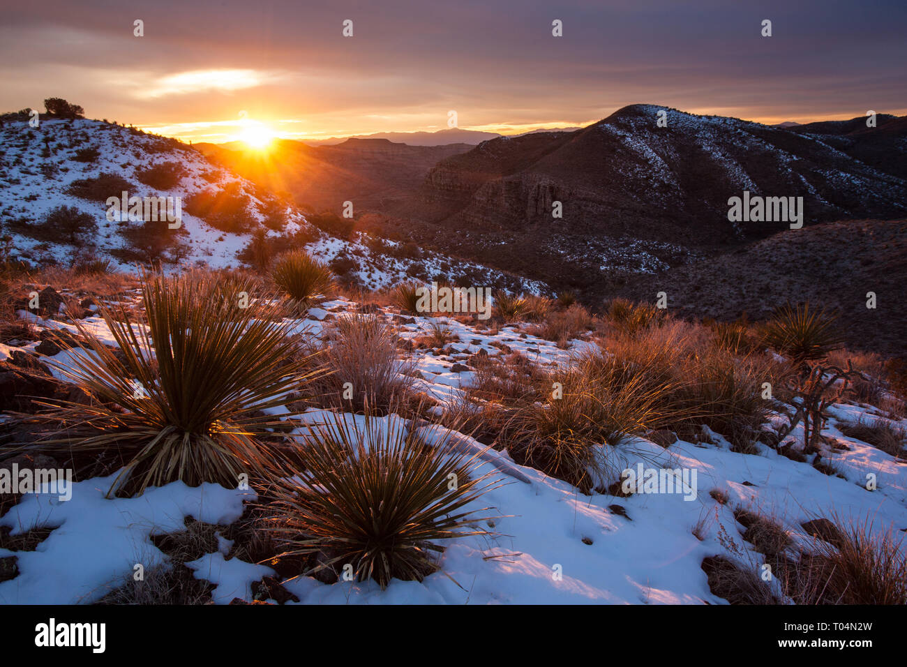 Presidio county texas hires stock photography and images Alamy