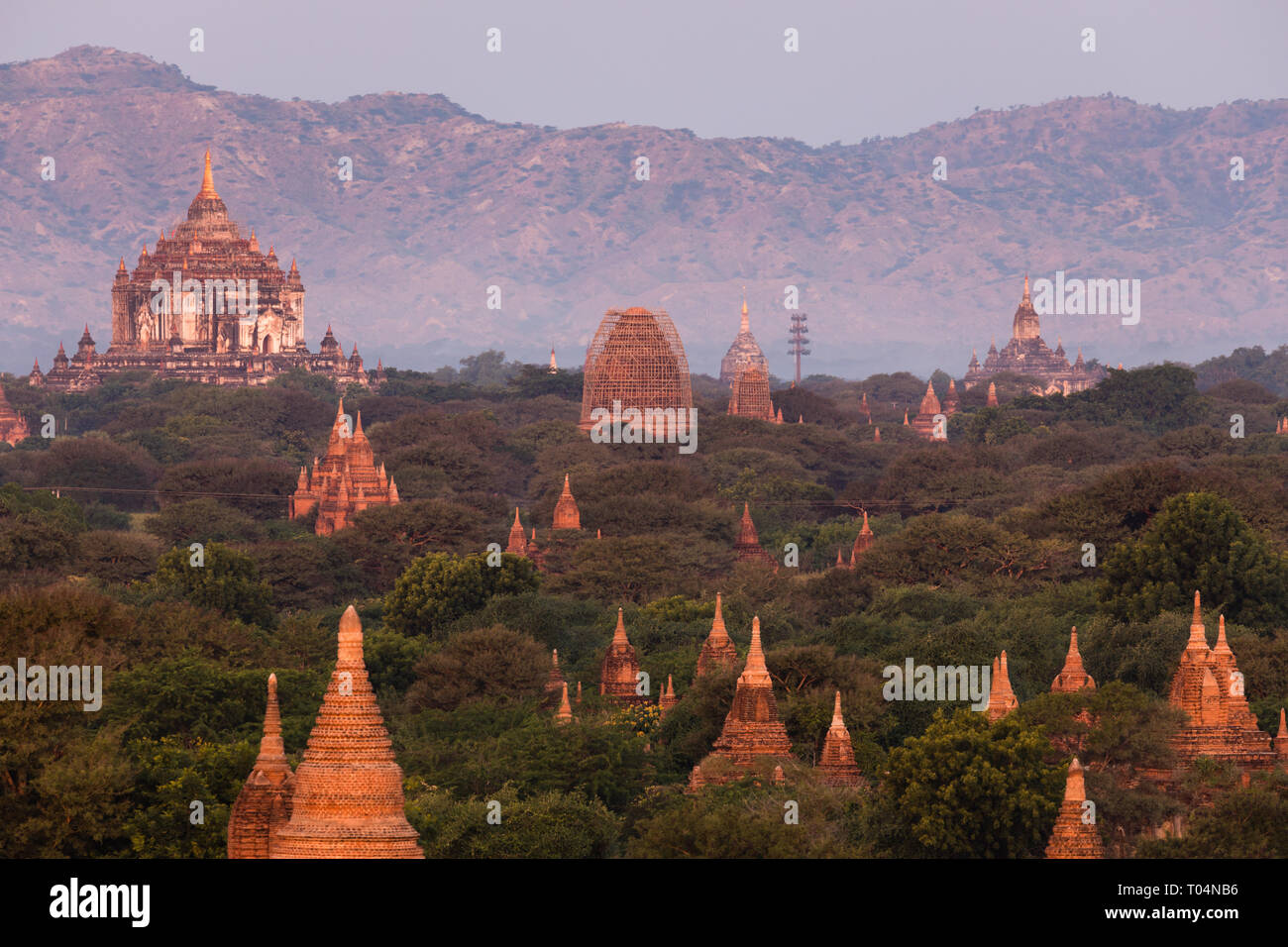 Temples and historical pagodas of the Archaeological Zone in Bagan in the early morning sunlight. Myanmar (Burma). Stock Photo