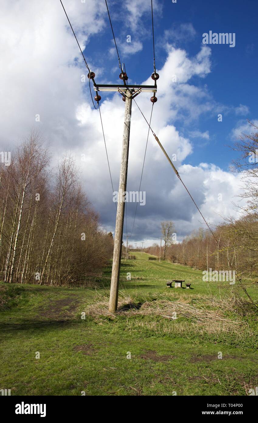 Overhead Communication Telephone Cable/Wires Suspended on Wooden Poles in a Meadow the