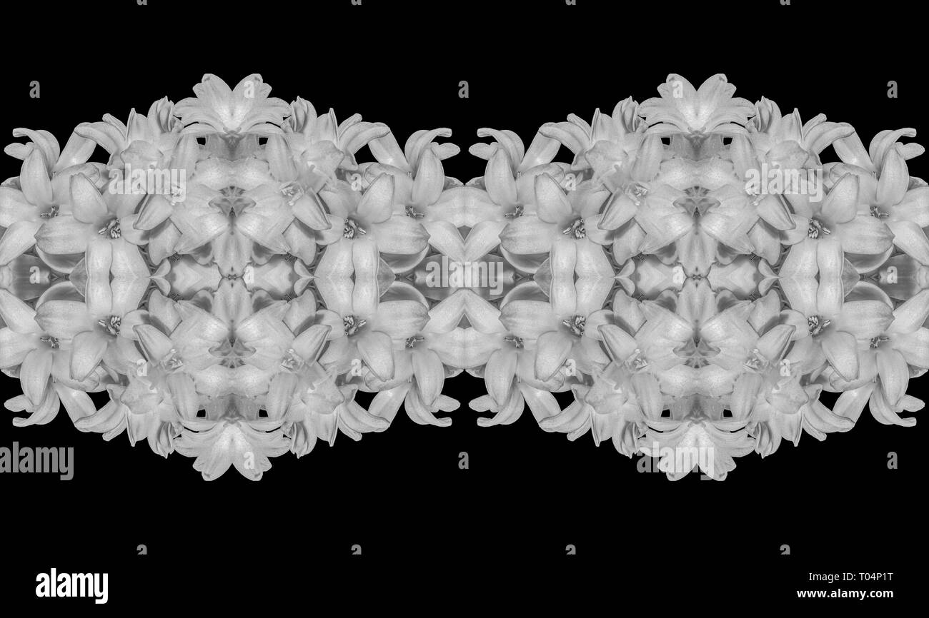 Fine art still life floral symmetrical monochrome pattern made from