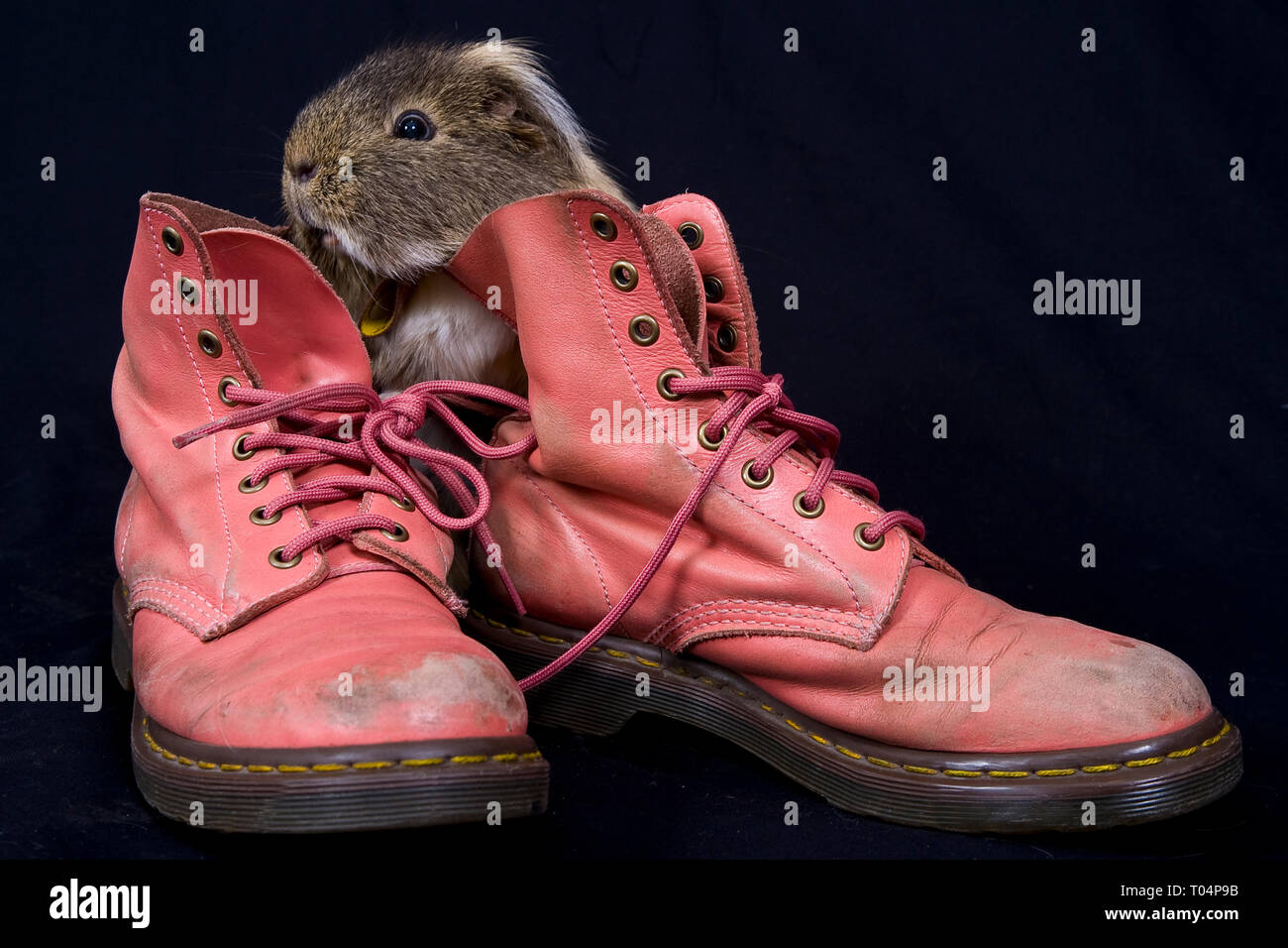 pink dr martens shoes