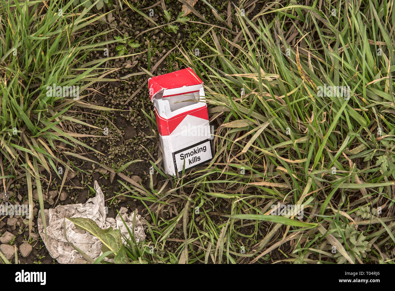 An empty pack of cigarettes with the text, 'Smoking Kills' written on the front, littered in the grass. Taken in Iceland. Stock Photo