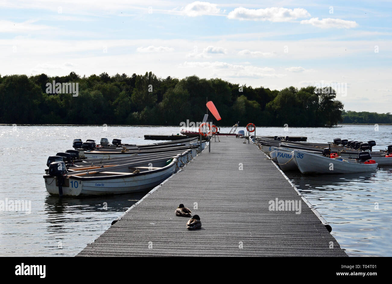 Ducks on the jetty at South Hanningfield Reservoir, between Billericay and Chelmsford in Essex Stock Photo