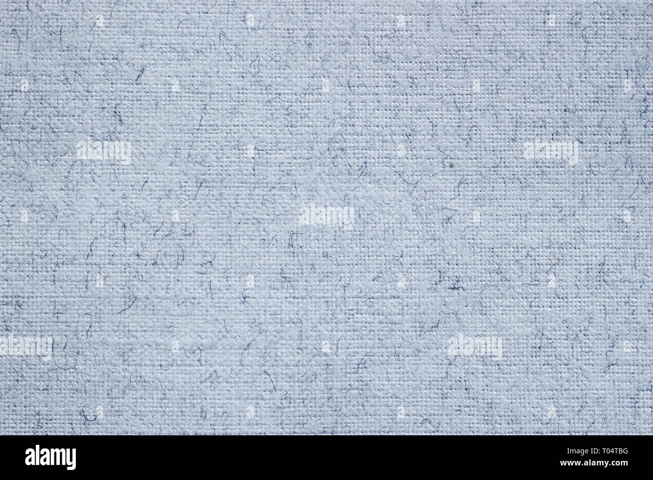 Fluff Hd Transparent, A Pattern Of White Fluff, Villus, White, Hair PNG  Image For Free Download