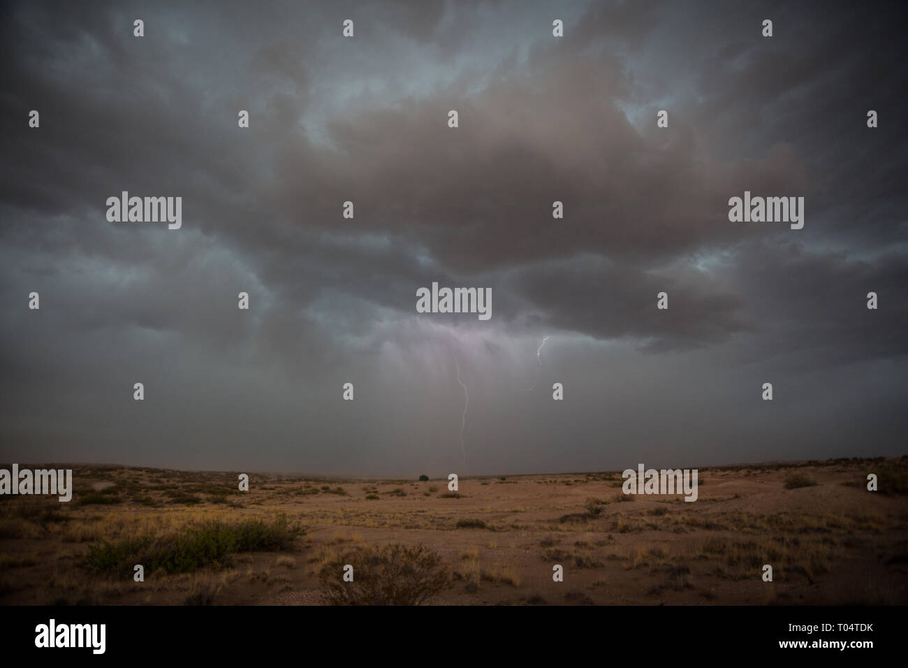 EL PASO COUNTY ROAD AND BRIDGE FABENS visual data 4
