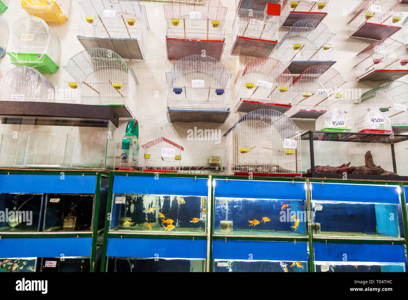 city center pet shop