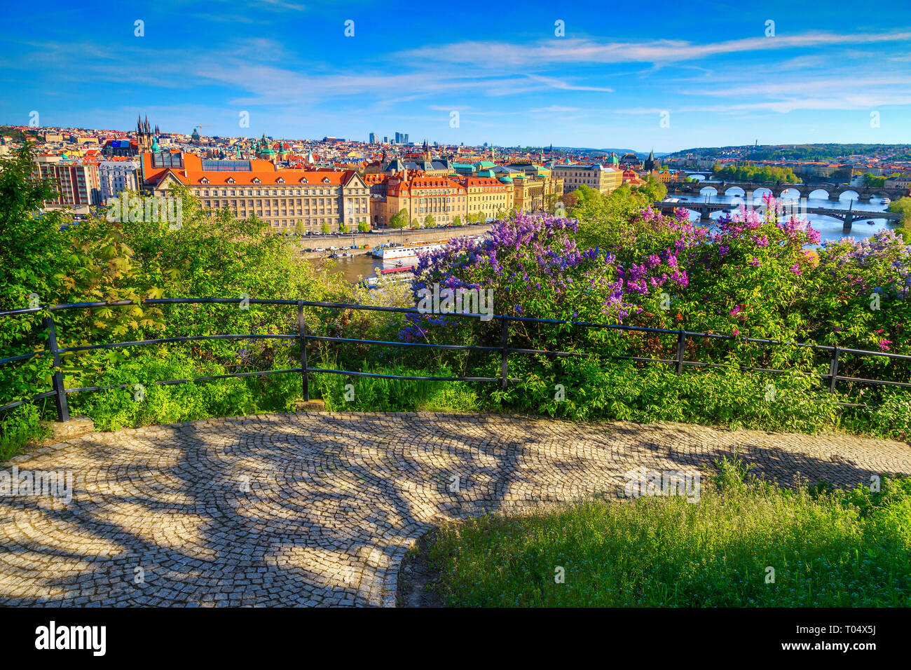 Stunning touristic and travel location. Vltava river and bridges with passenger boats. City center with colorful spring lilac flowers in public park,  Stock Photo