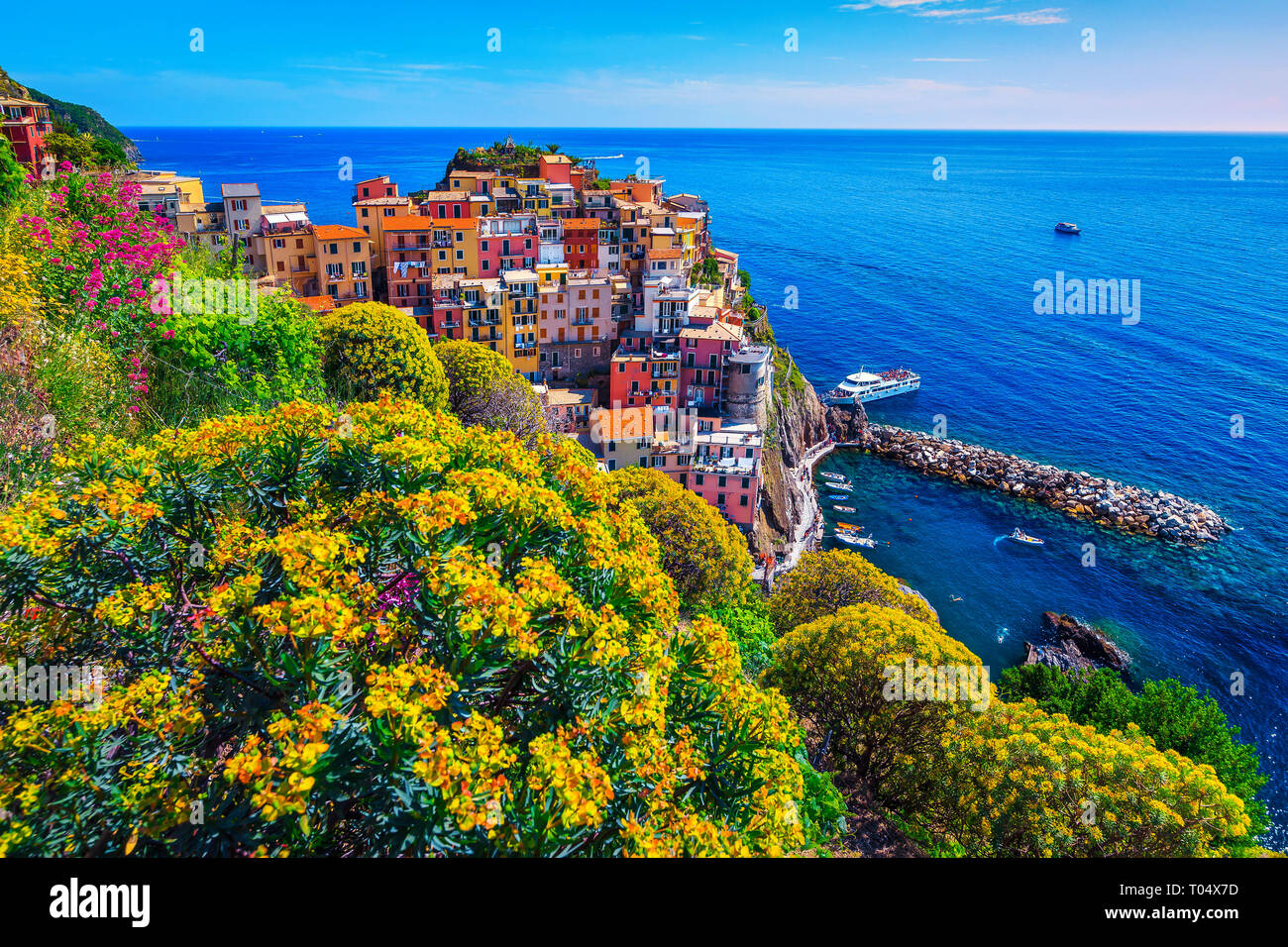 Amazing summer travel destination, spectacular ornamental garden with colorful flowers and mediterranean fishing village, Manarola, Cinque Terre, Ligu Stock Photo