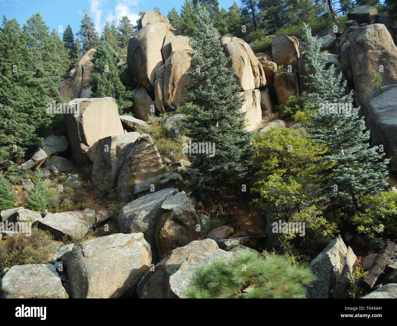 Big Stones And Boulders With Pine Trees On The Way Up To The Summit Of Pikes Peak In Manitou Springs Colorado Stock Photo Alamy