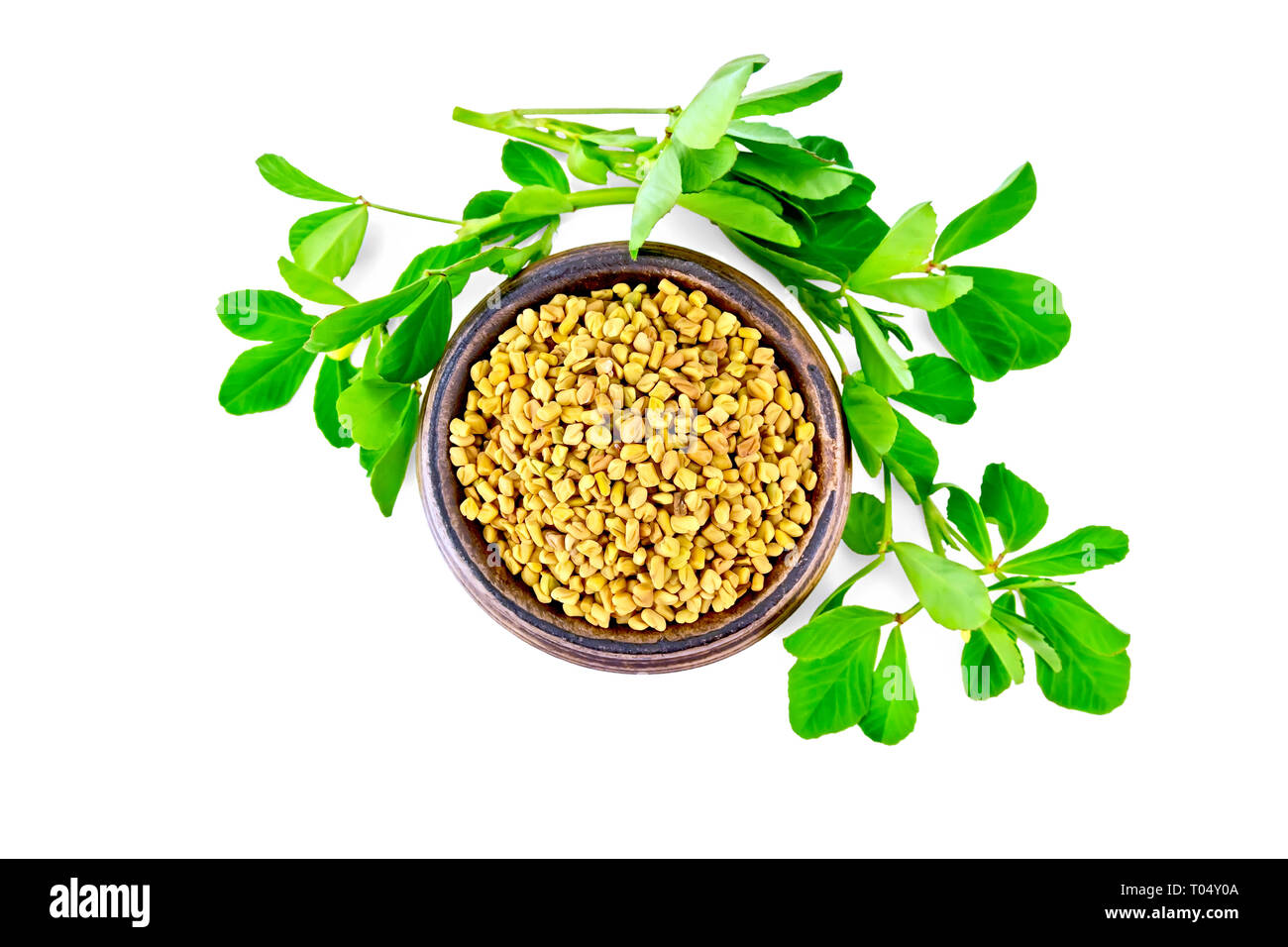 Fenugreek seeds in a bowl with green leaves isolated on white background from above Stock Photo