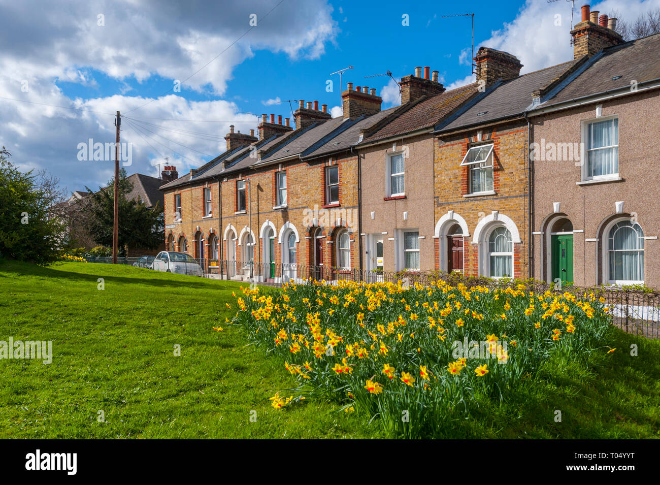 Christ Church Square, Gravesend kent in spring with daffodils Stock