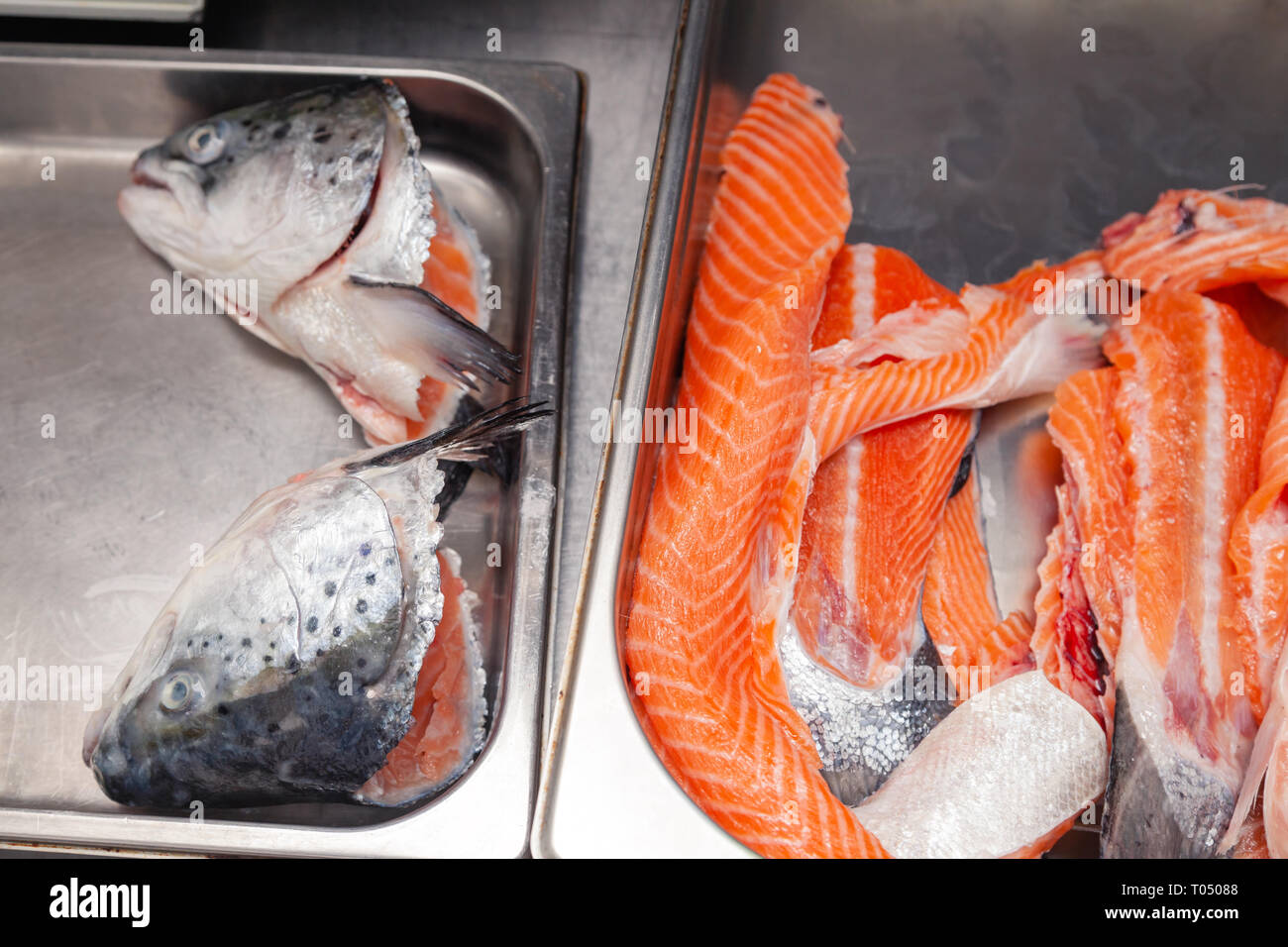 Closeup carving whole fresh norwegian salmon fish with heads on red