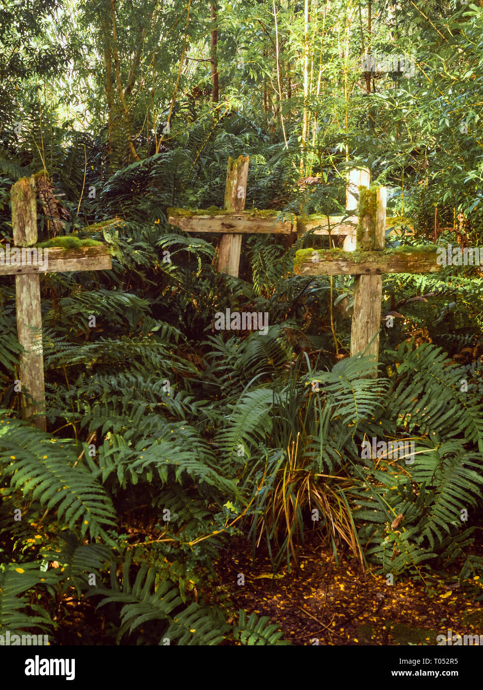 Wood cross in patagonian cementery in Chile, Caleta Tortel. Dead island in river Baker Stock Photo
