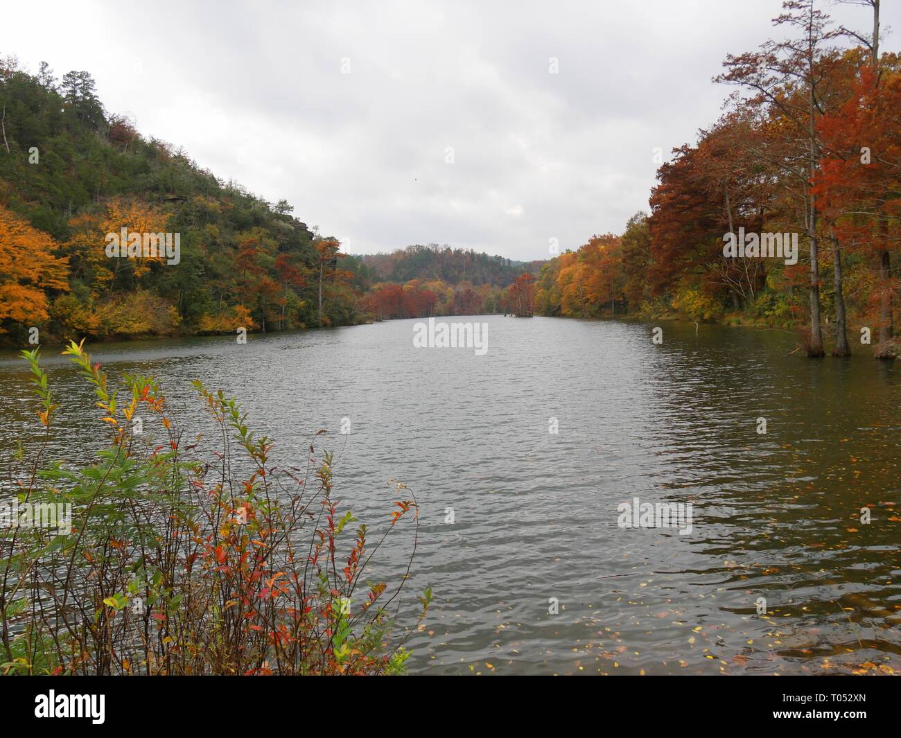 View of the Mountain Fork river seen from a bridge with the beautiful colors of autumn at
