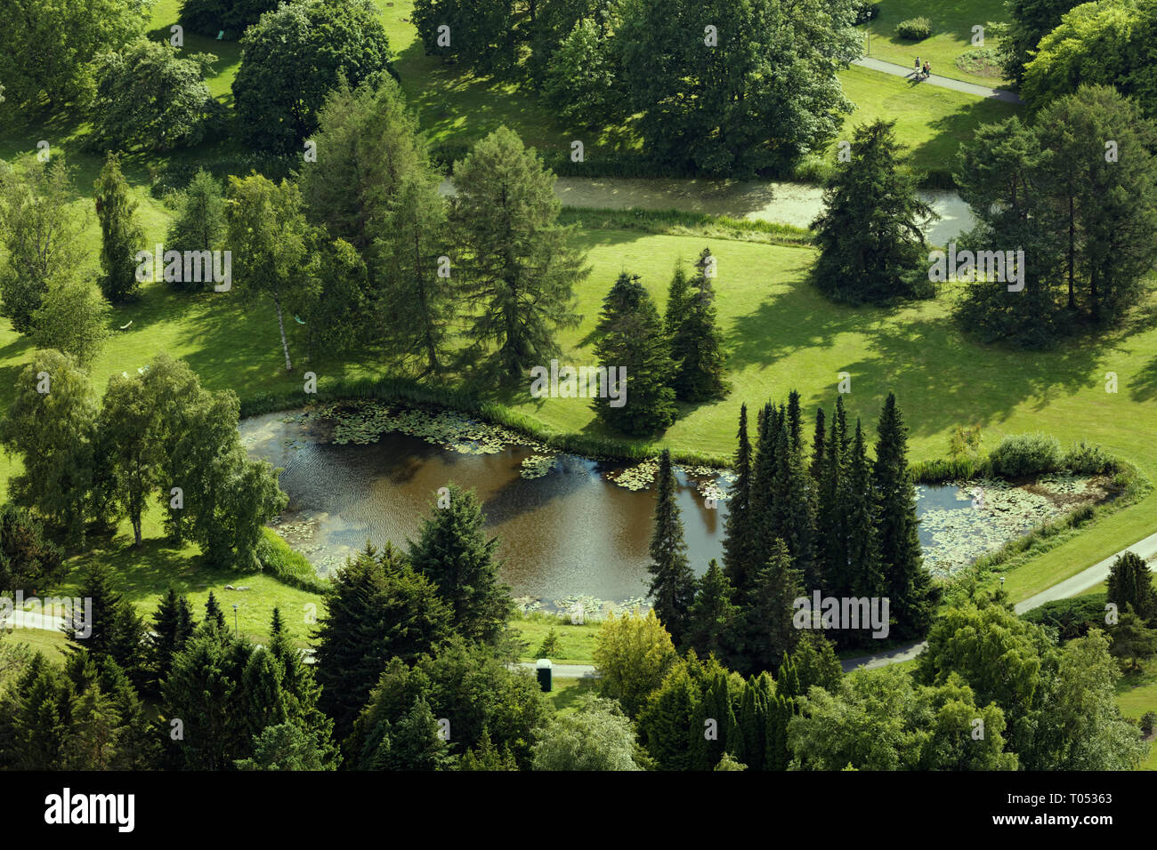 Aerial view lake in the summer park Stock Photo