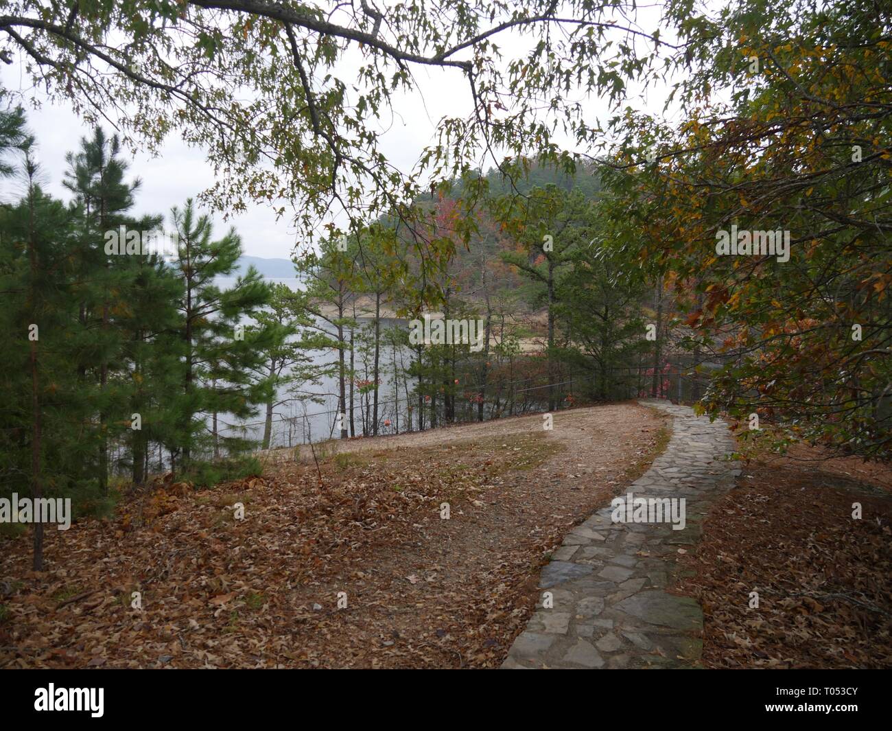 Pathway covered fallen leaves hi-res stock photography and images - Alamy
