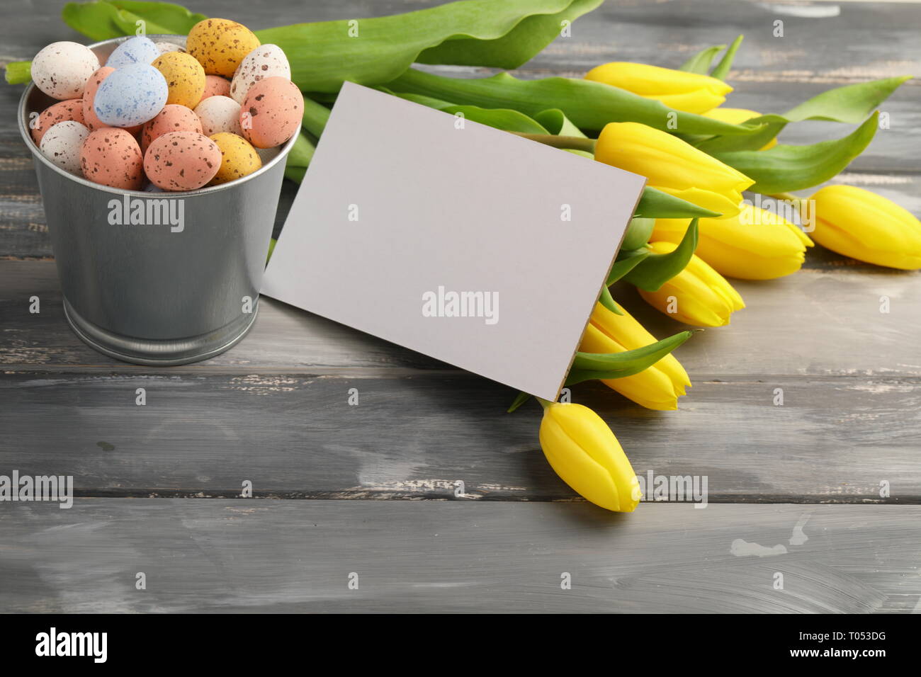 Colorful easter candy eggs with yellow tulips and empty greeting card on wooden table Stock Photo