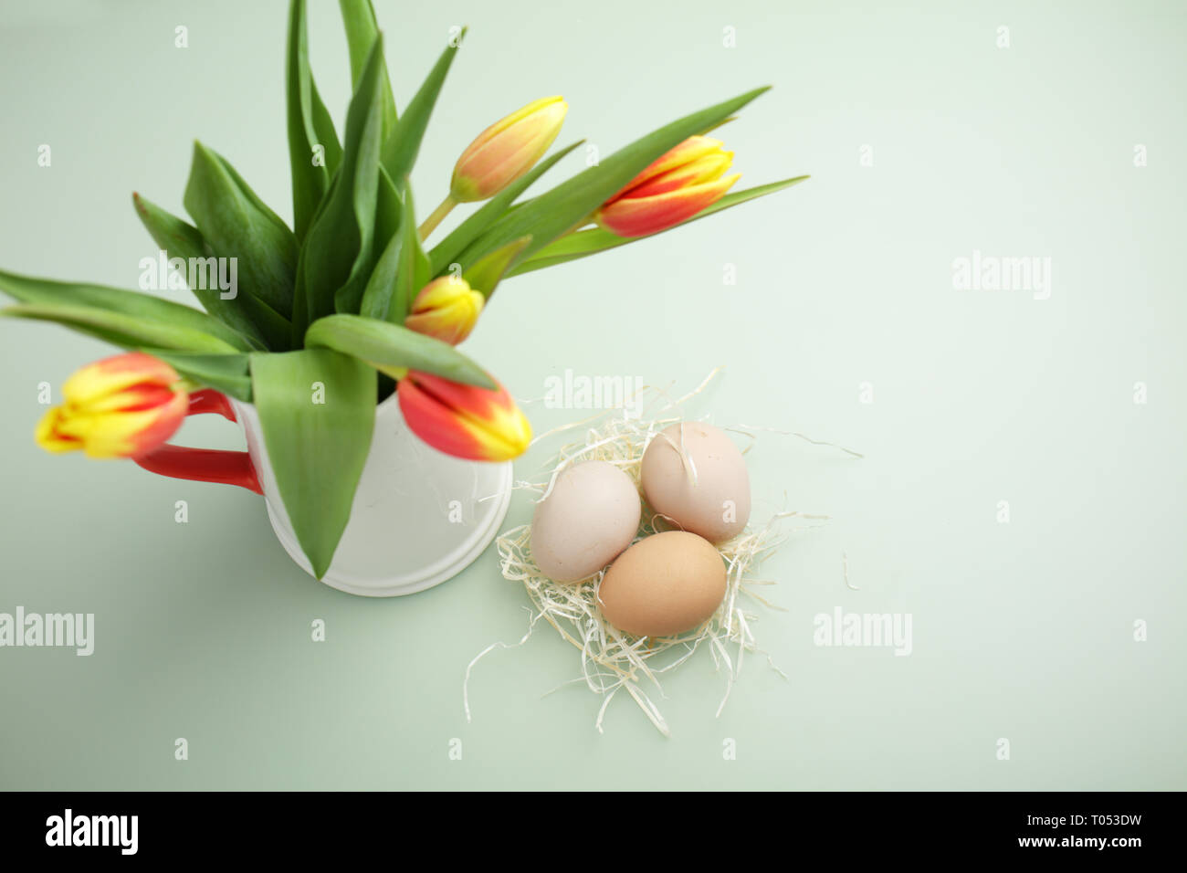 Easter eggs tulips flowers on green background Stock Photo