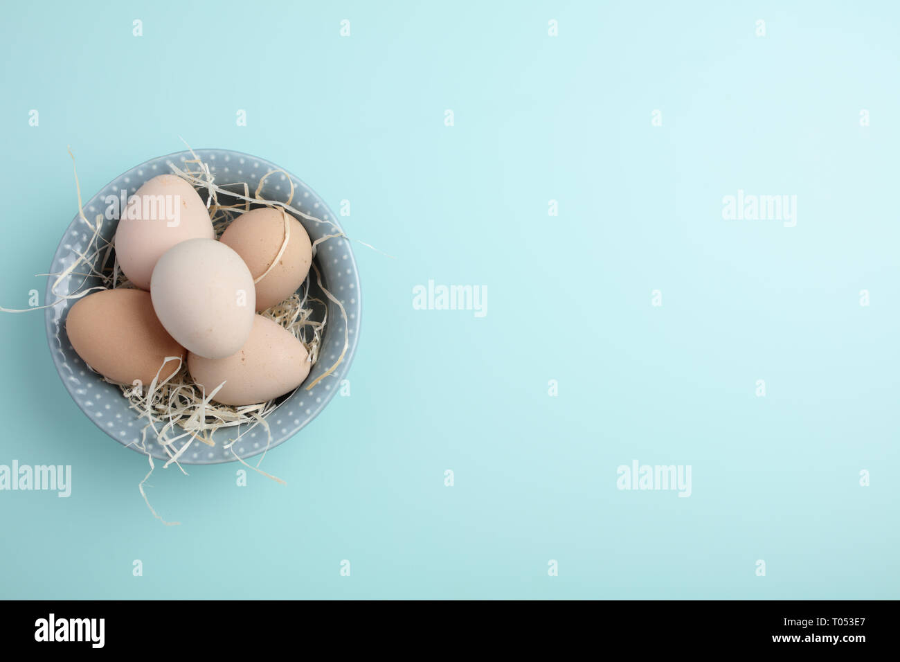 Guinea fowl eggs on duck egg blue background Stock Photo