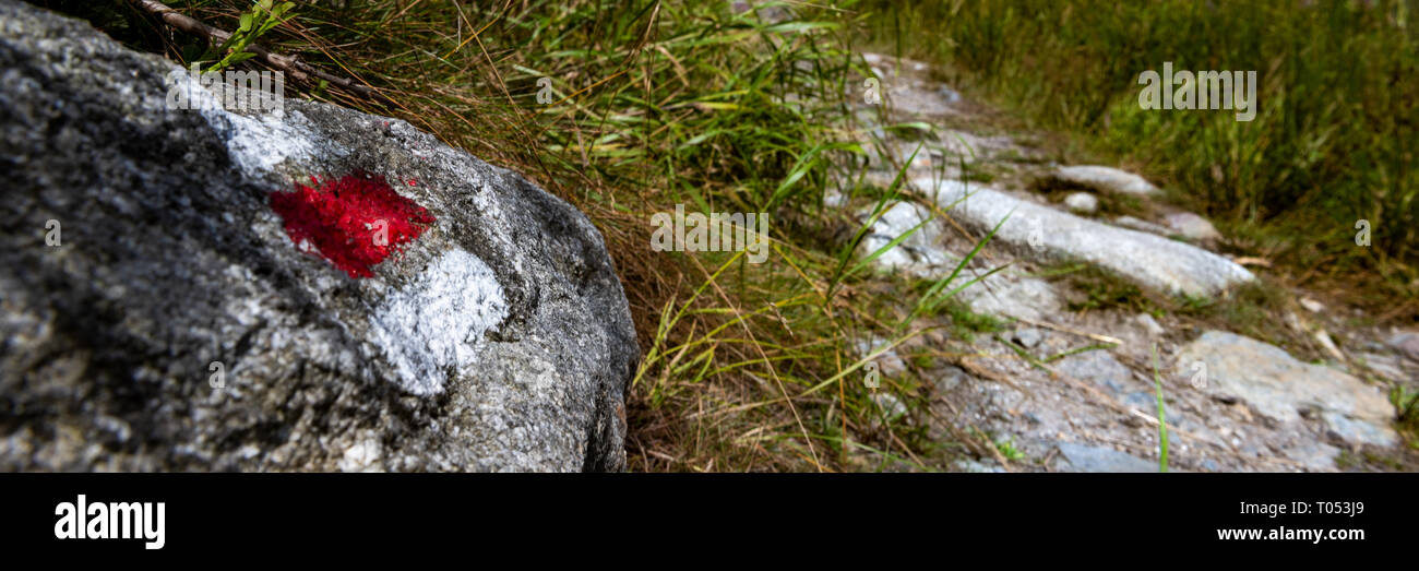 Hiking Trail Sign Mark Painted On A Rock Path Leading Trough The