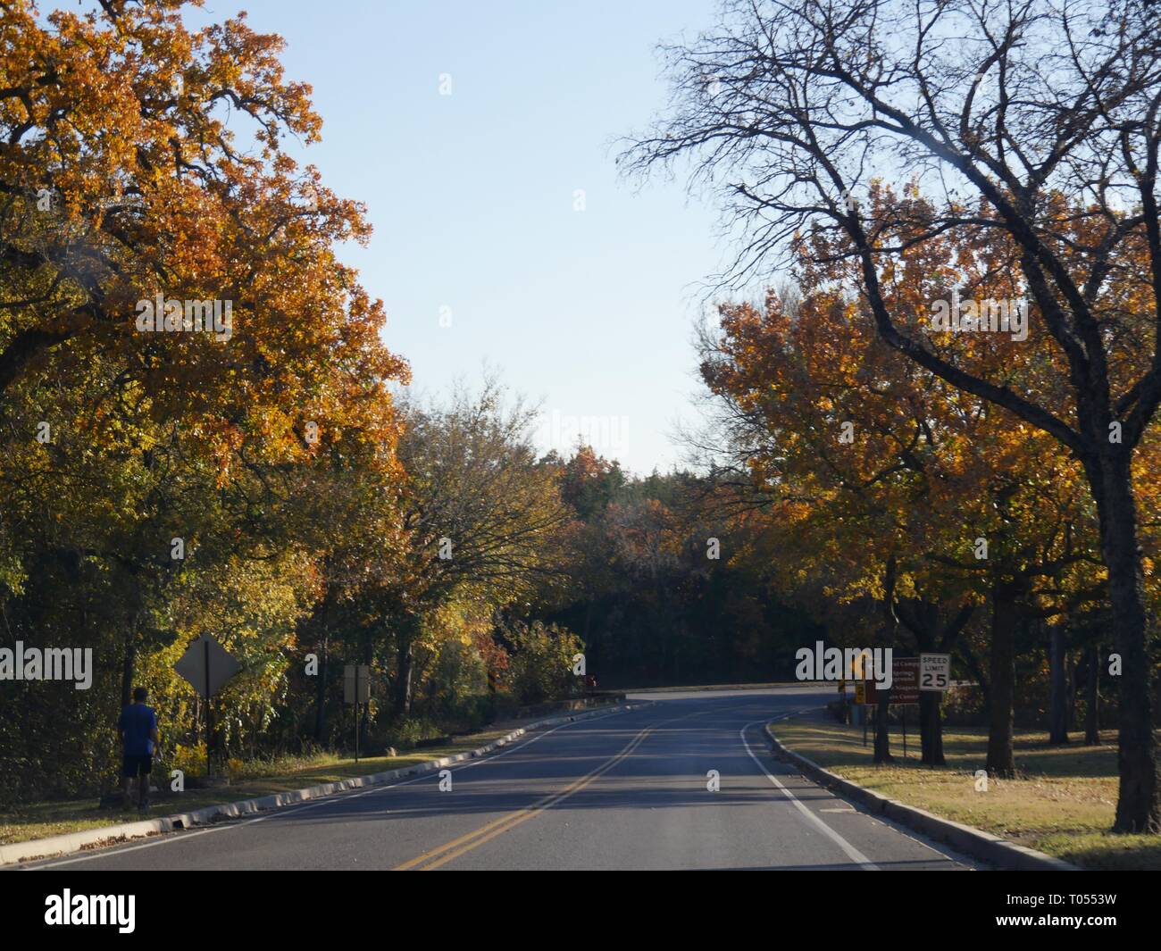 Colorful foliage by the roadsides in autumn Stock Photo