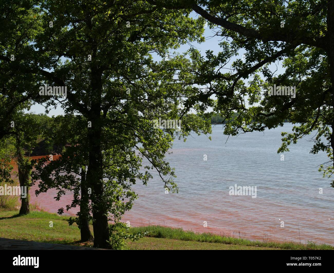 Lake Thunderbird with reddish water near the bank with trees Stock