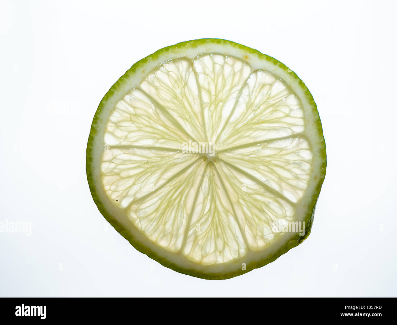 The Transclucent, Vibrant and Colorful Wheel of a Fresh Juicy Key Lime ...