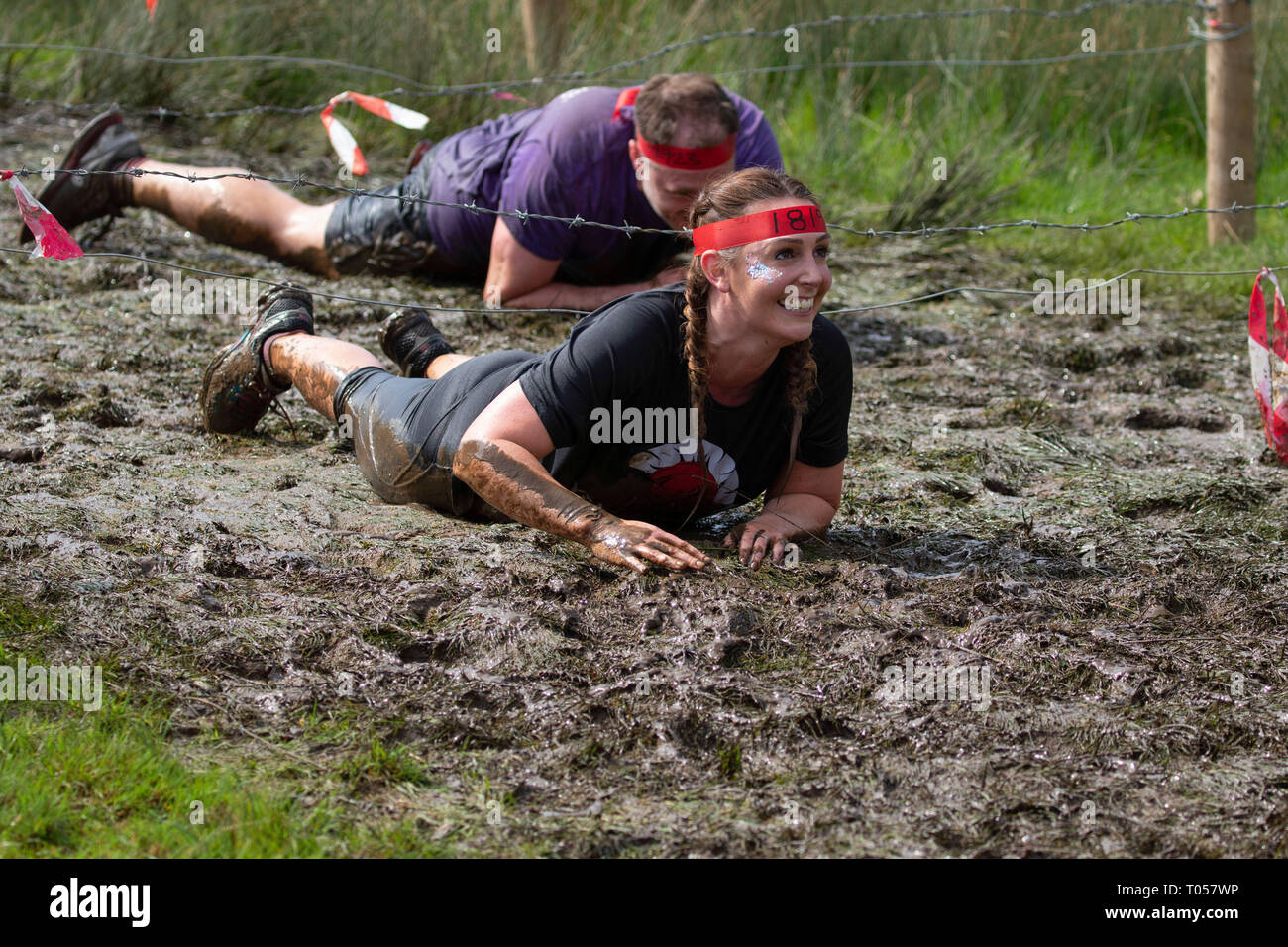 Female athlete crawling through mud with barbed wire above her, Yorkshire Warrior 10km Race, Ripley, North Yorkshire, England, UK. Stock Photo