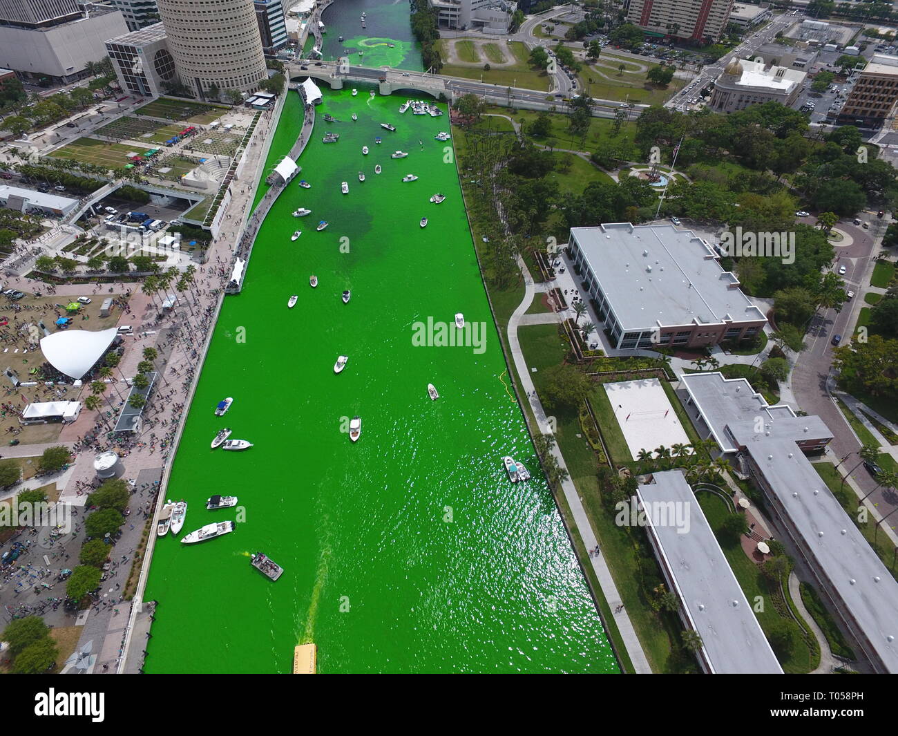 Green River Downtown Tampa for St. Patrick's Day 2019 Stock Photo Alamy